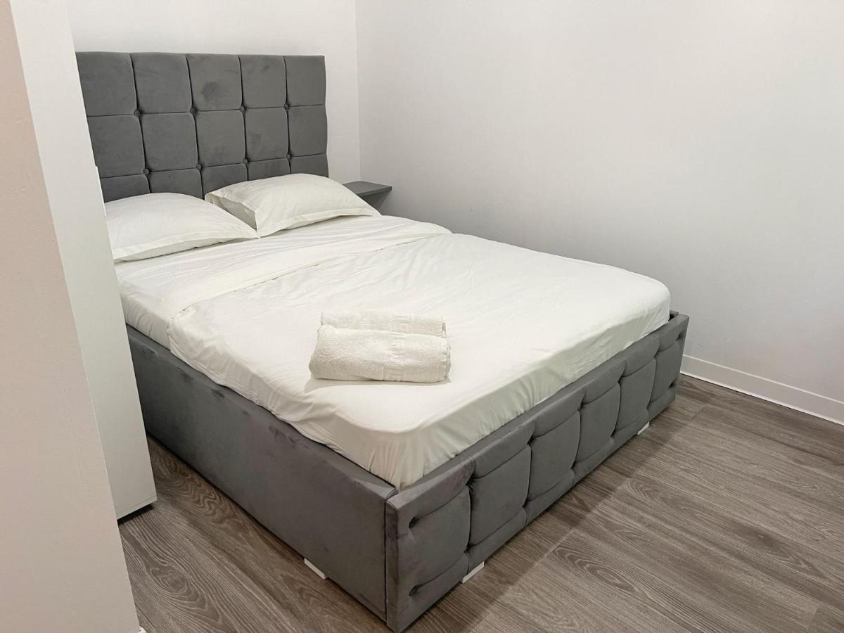Forest 41 Brasov